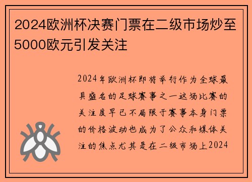 2024欧洲杯决赛门票在二级市场炒至5000欧元引发关注